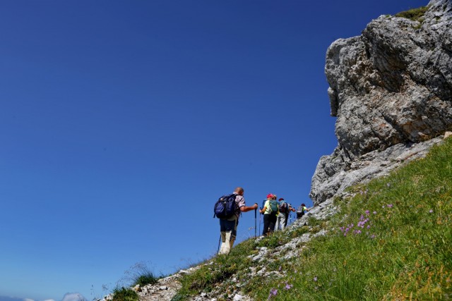 Tolsta Košuta 19.7.2025 - foto