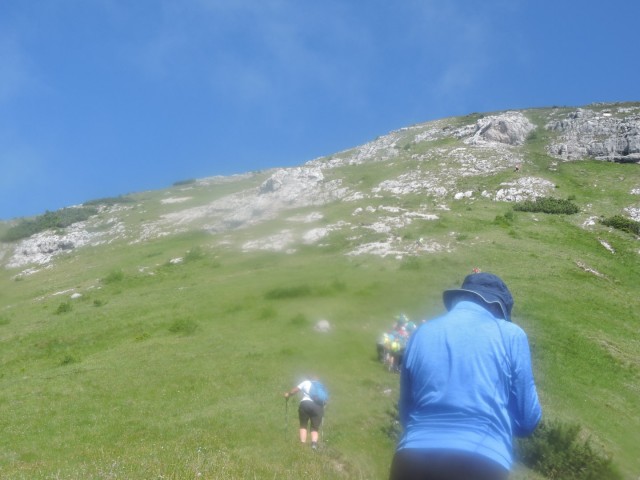 Tolsta Košuta 19.7.2025 - foto