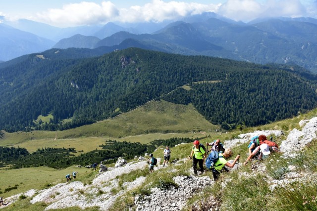 Tolsta Košuta 19.7.2025 - foto