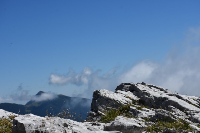Tolsta Košuta 19.7.2025 - foto
