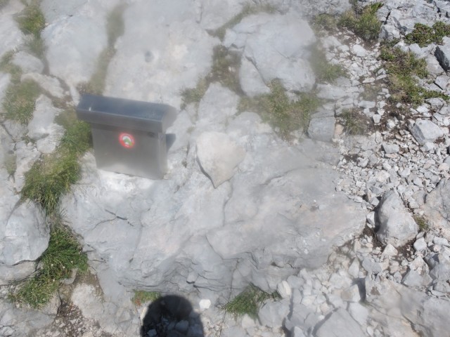 Tolsta Košuta 19.7.2025 - foto