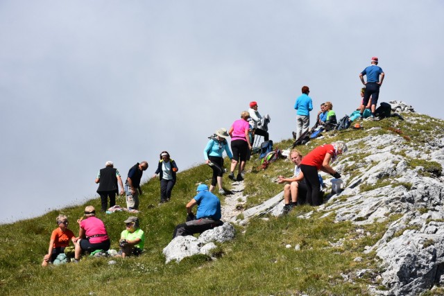 Tolsta Košuta 19.7.2025 - foto