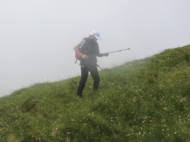 Tolsta Košuta 19.7.2025 - foto
