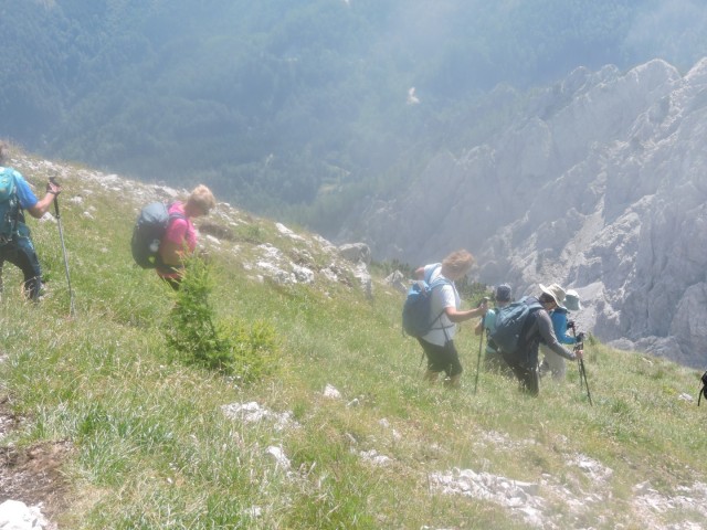 Tolsta Košuta 19.7.2025 - foto