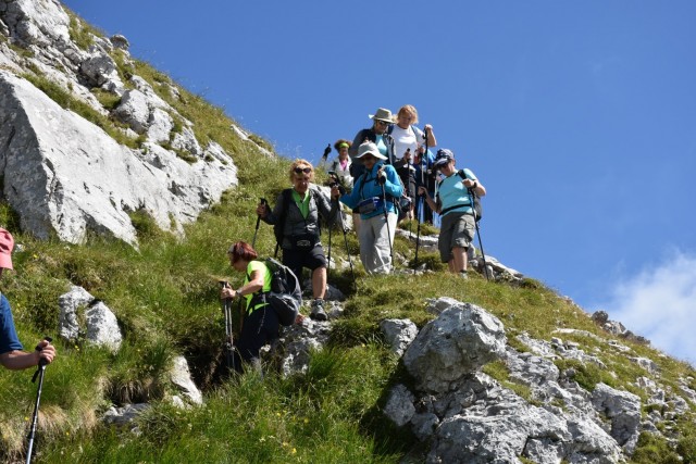 Tolsta Košuta 19.7.2025 - foto