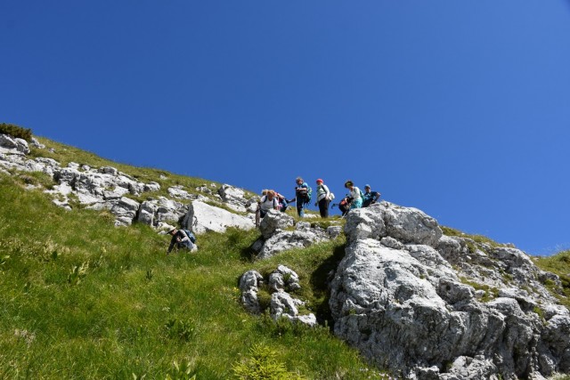 Tolsta Košuta 19.7.2025 - foto