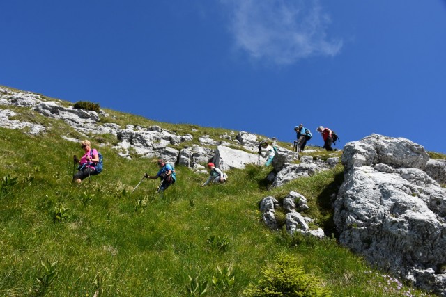 Tolsta Košuta 19.7.2025 - foto