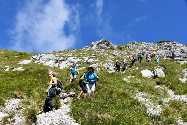 Tolsta Košuta 19.7.2025 - foto