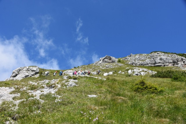 Tolsta Košuta 19.7.2025 - foto