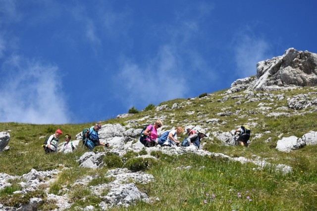 Tolsta Košuta 19.7.2025 - foto