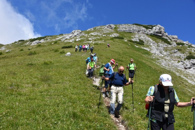 Tolsta Košuta 19.7.2025 - foto