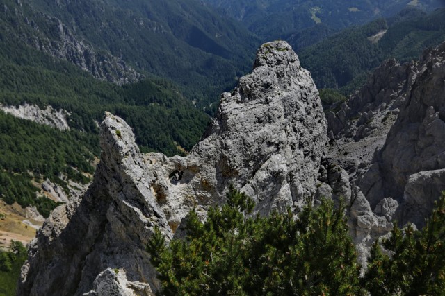 Tolsta Košuta 19.7.2025 - foto