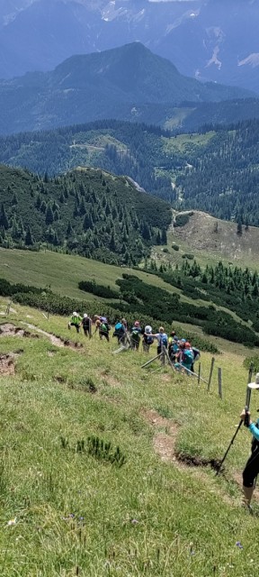 Tolsta Košuta 19.7.2025 - foto