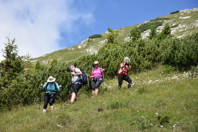 Tolsta Košuta 19.7.2025 - foto