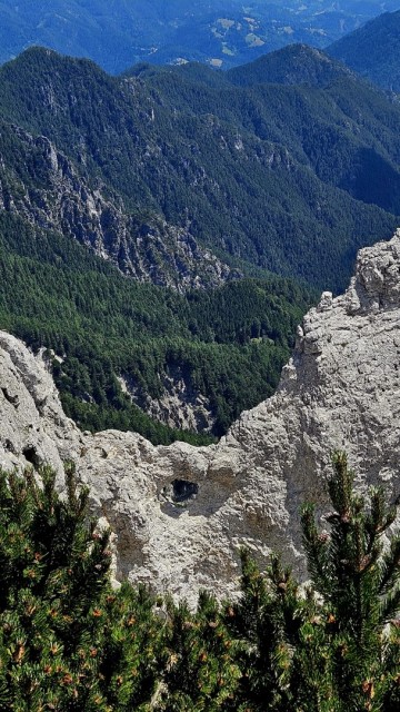 Tolsta Košuta 19.7.2025 - foto