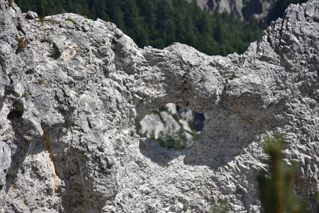 Tolsta Košuta 19.7.2025 - foto