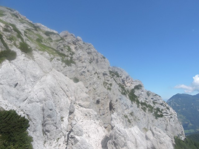 Tolsta Košuta 19.7.2025 - foto