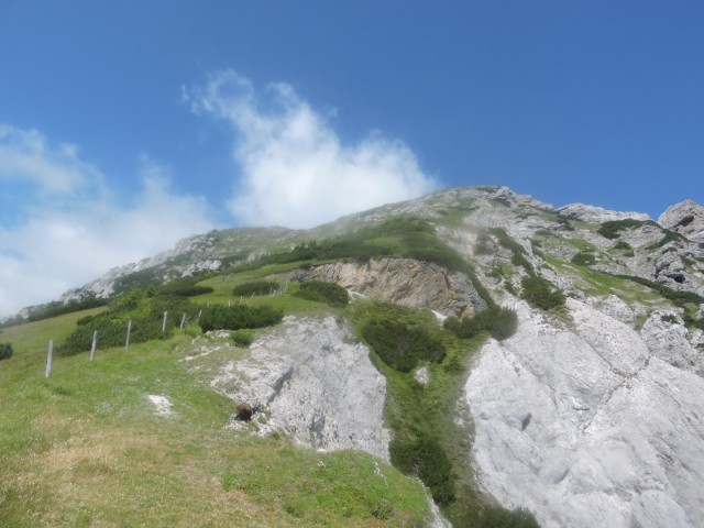 Tolsta Košuta 19.7.2025 - foto