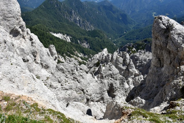 Tolsta Košuta 19.7.2025 - foto