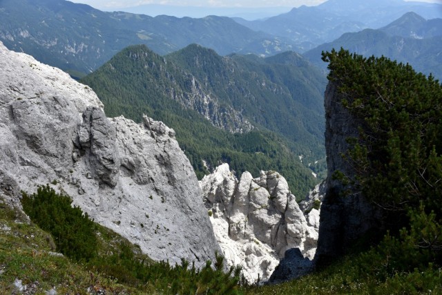 Tolsta Košuta 19.7.2025 - foto