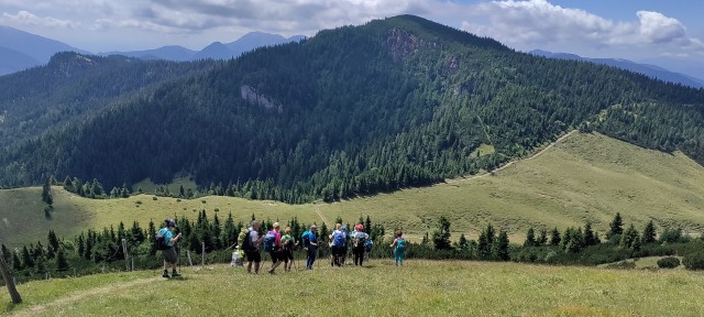 Tolsta Košuta 19.7.2025 - foto