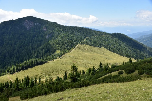 Tolsta Košuta 19.7.2025 - foto