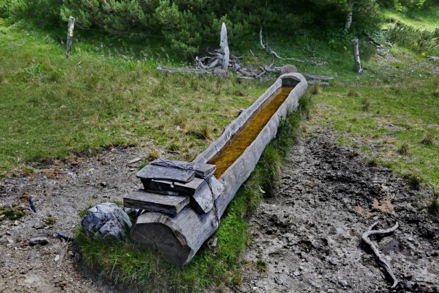 Tolsta Košuta 19.7.2025 - foto
