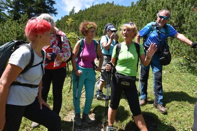 Tolsta Košuta 19.7.2025 - foto