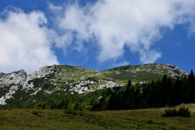 Tolsta Košuta 19.7.2025 - foto