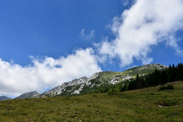Tolsta Košuta 19.7.2025 - foto