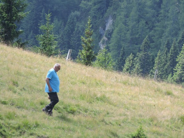 Tolsta Košuta 19.7.2025 - foto