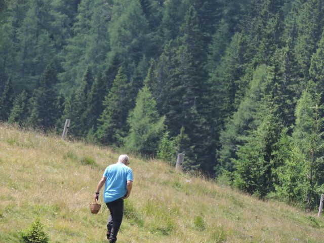 Tolsta Košuta 19.7.2025 - foto