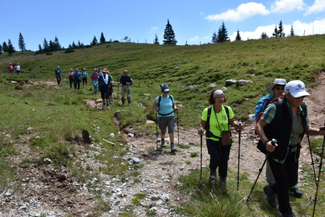Tolsta Košuta 19.7.2025 - foto