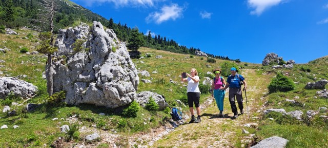 Tolsta Košuta 19.7.2025 - foto