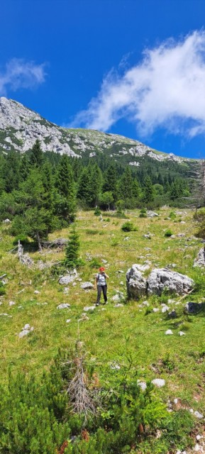 Tolsta Košuta 19.7.2025 - foto