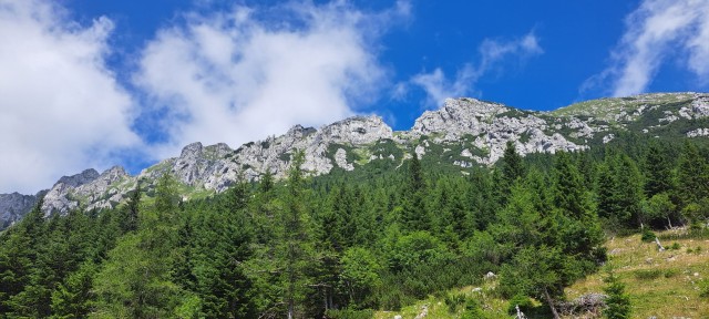 Tolsta Košuta 19.7.2025 - foto