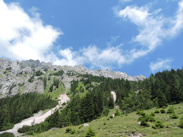 Tolsta Košuta 19.7.2025 - foto
