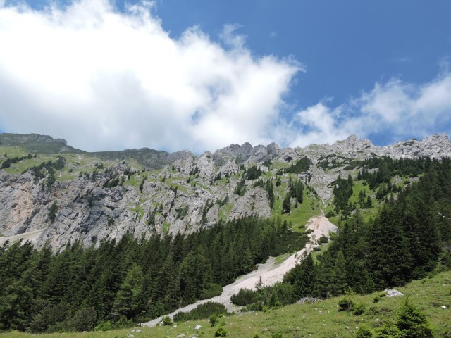 Tolsta Košuta 19.7.2025 - foto