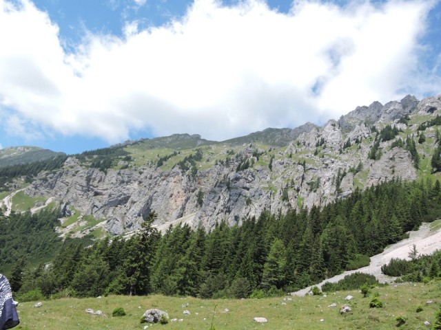 Tolsta Košuta 19.7.2025 - foto