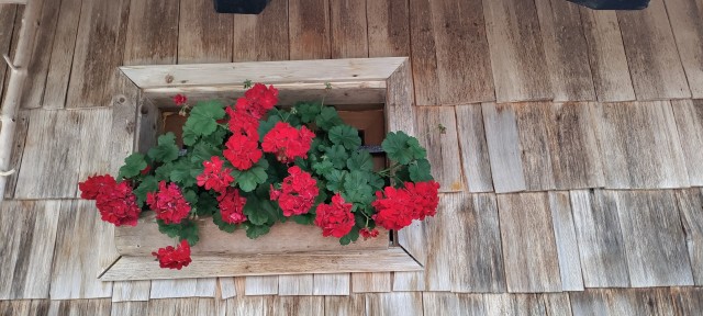 Tolsta Košuta 19.7.2025 - foto