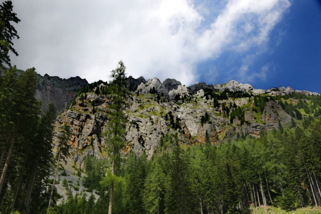 Tolsta Košuta 19.7.2025 - foto