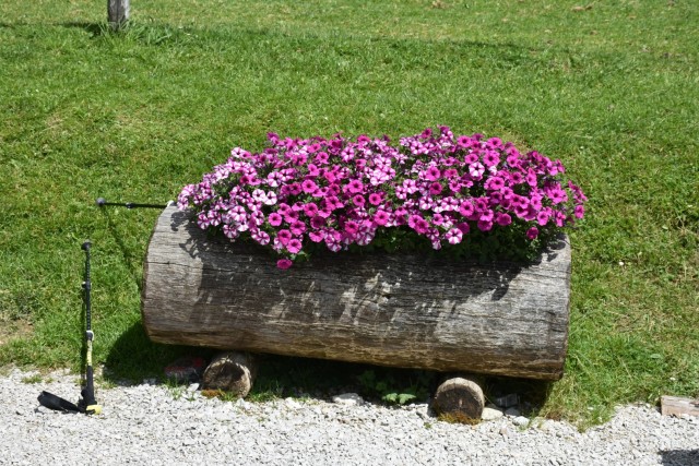 Tolsta Košuta 19.7.2025 - foto