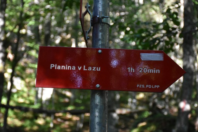 Ogradi 9.7.2022 - foto