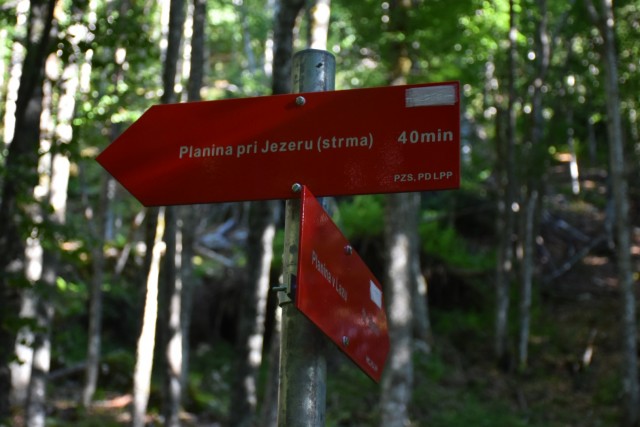 Ogradi 9.7.2022 - foto
