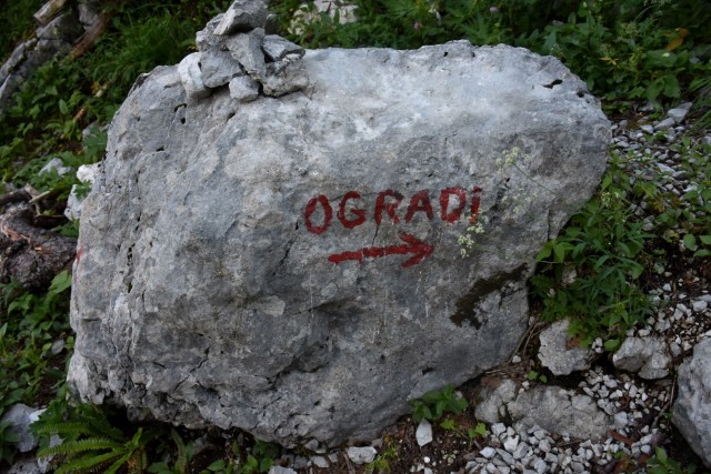 Ogradi 9.7.2022 - foto