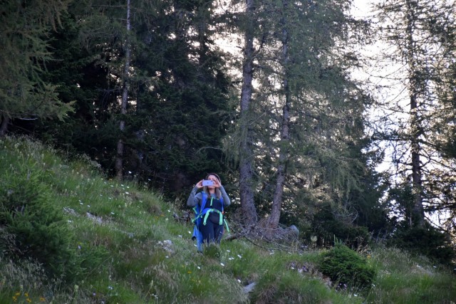 Ogradi 9.7.2022 - foto