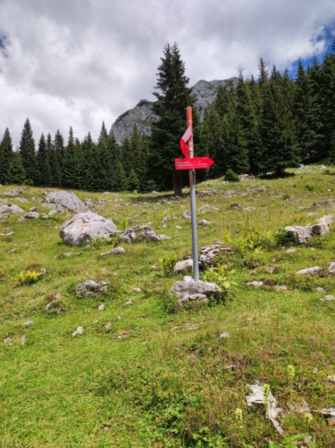 Ogradi 9.7.2022 - foto