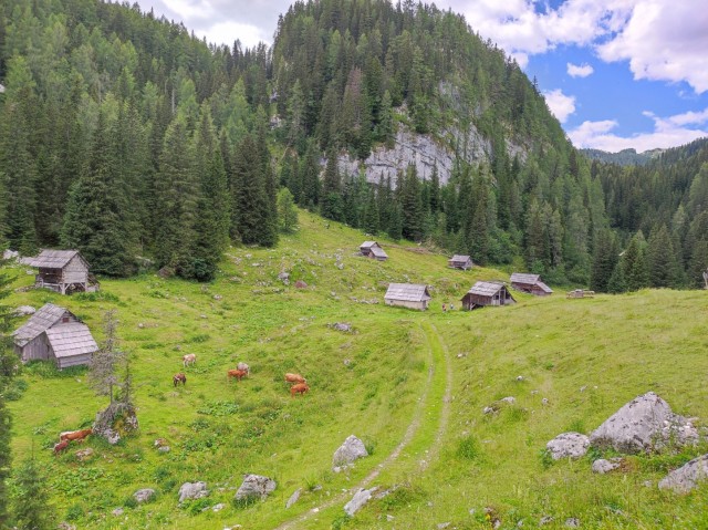 Ogradi 9.7.2022 - foto