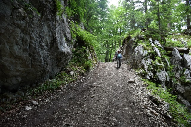 Ogradi 9.7.2022 - foto