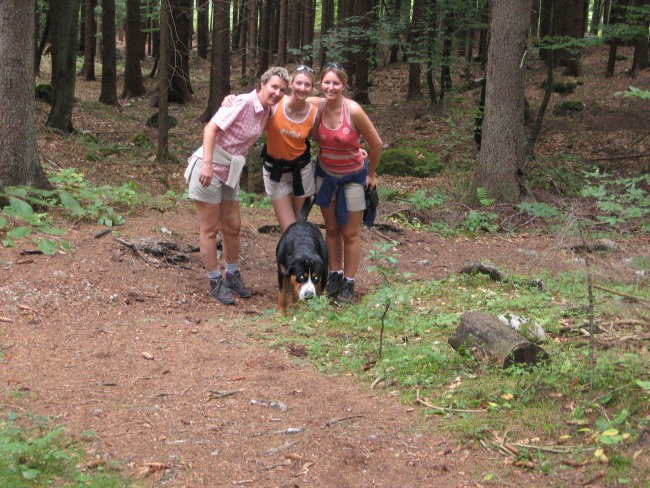Poletje 2006 - foto povečava
